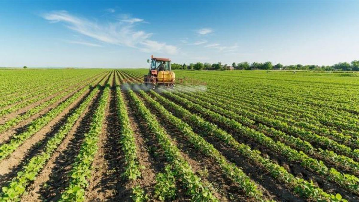 Αγρότες σε απόγνωση στη Δυτική Αχαΐα – Πτώση εισοδήματος κατά 35%