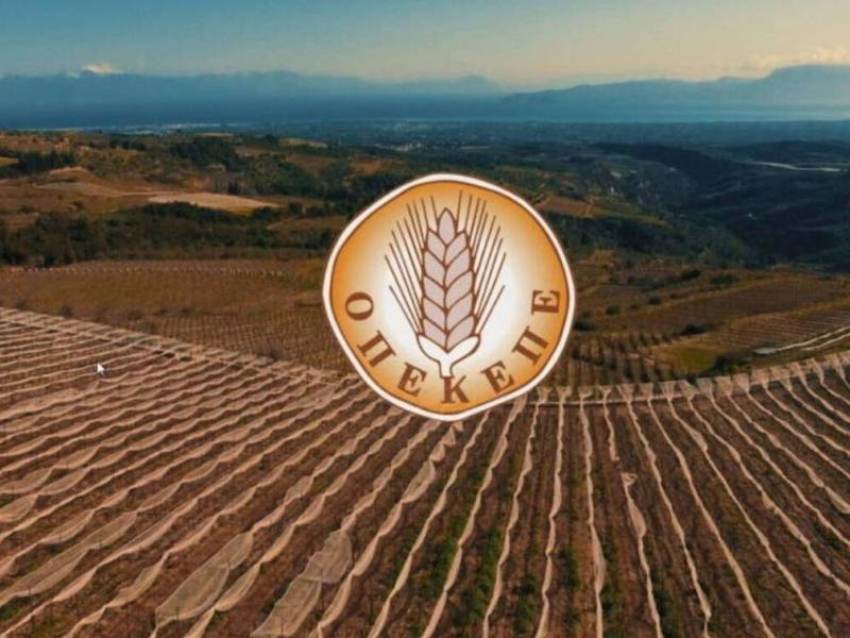 Έναρξη υποβολής Δηλώσεων ΟΣΔΕ 2023 στο Gov.gr