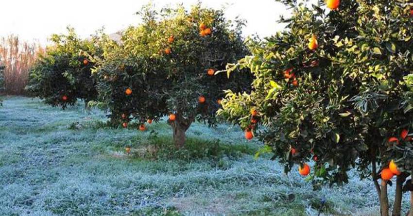 Δήμος Μονεμβασίας: Ο ΕΛ.Γ.Α. συμψηφίζει τις προκαταβολές