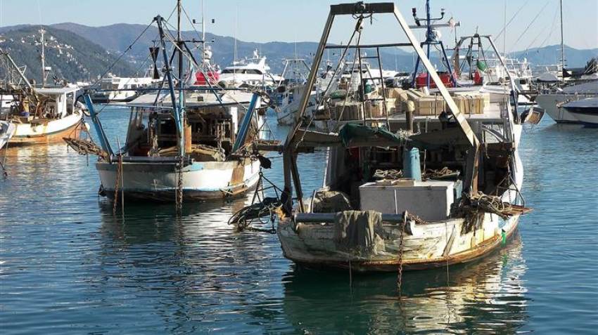 Εγκρίθηκαν έκτακτα μέτρα στήριξης των τομέων της αλιείας και της υδατοκαλλιέργειας