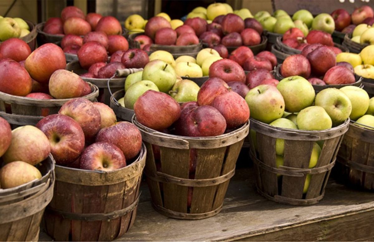 Αδιάθετα στα ψυγεία τα περσινά μήλα, χωρίς εισόδημα και αποζημιώσεις ΕΛΓΑ οι αγρότες
