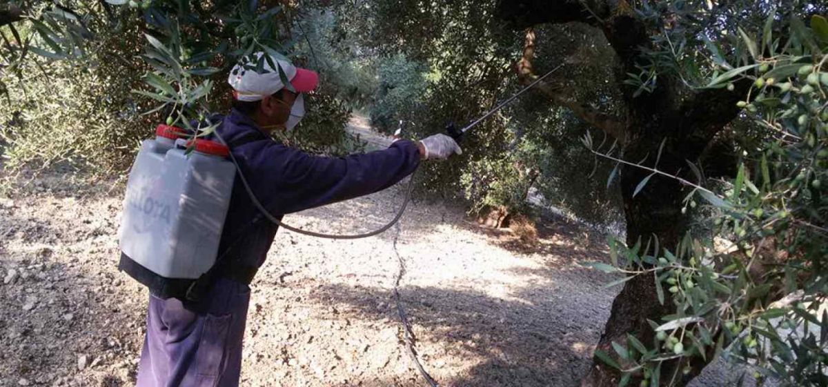 ΕΝΑΡΞΗ 2ΟΥ ΨΕΚΑΣΜΟΥ ΔΑΚΟΚΤΟΝΙΑΣ ΚΑΡΙΤΣΑ-ΖΑΡΑΦΩΝΑ