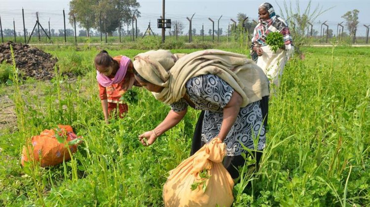 Παρατείνεται μέχρι 30.9.2021 η προθεσμία μετάκλησης αλλοδαπών για εποχικές αγροτικές εργασίες