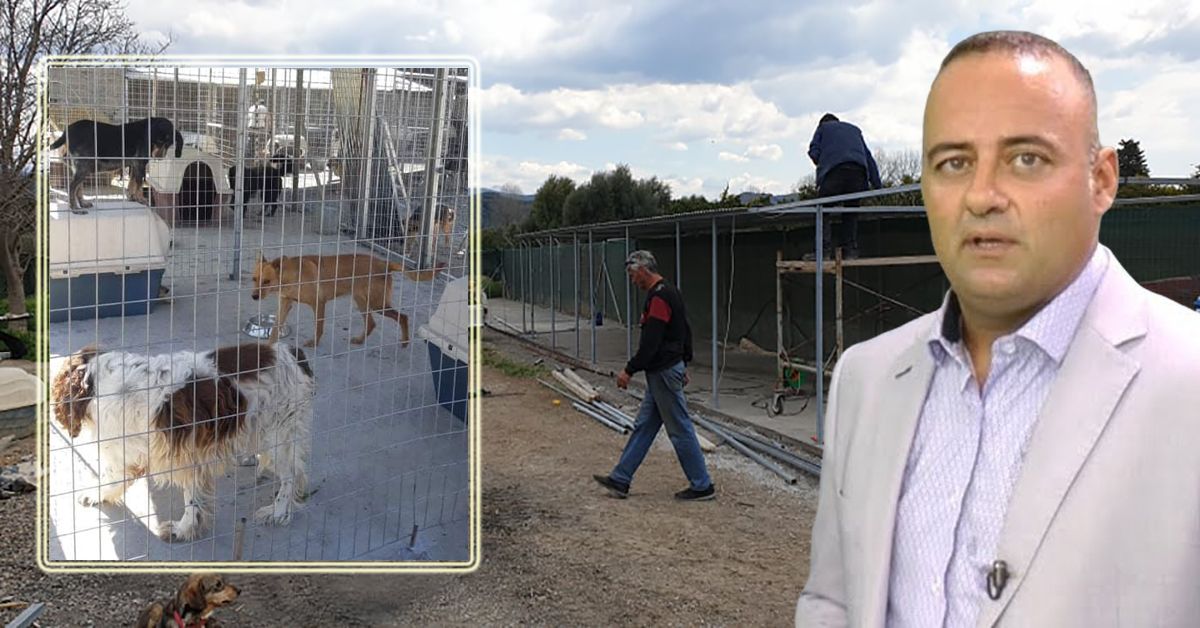 Με γοργό ρυθμό συνεχίζονται οι εργασίες για την βελτίωση των χώρων φιλοξενίας των αδέσποτων ζώων του Δήμου Σπάρτης