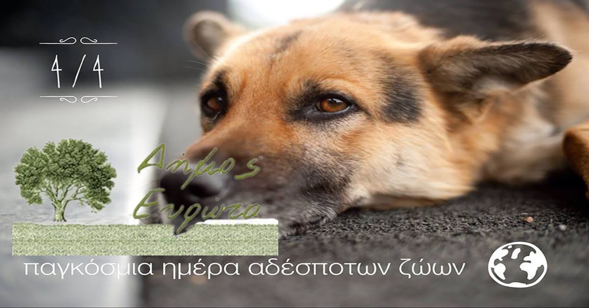 ΔΗΜΟΣ ΕΥΡΩΤΑ: Μήνυμα Δημάρχου για την Παγκόσμια Ημέρα Αδέσποτων Ζώων