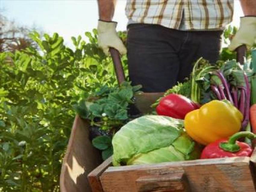 Εύθραυστη η ισορροπία ανάμεσα στα αγροτικά εμπορεύματα και τις εισροές στο ενδεχόμενο αντιστροφής της τάσης