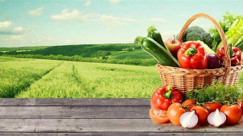 Ένταξη Πράξεων 5ης πρόσκλησης Μέτρου 11 "Βιολογική Γεωργία"