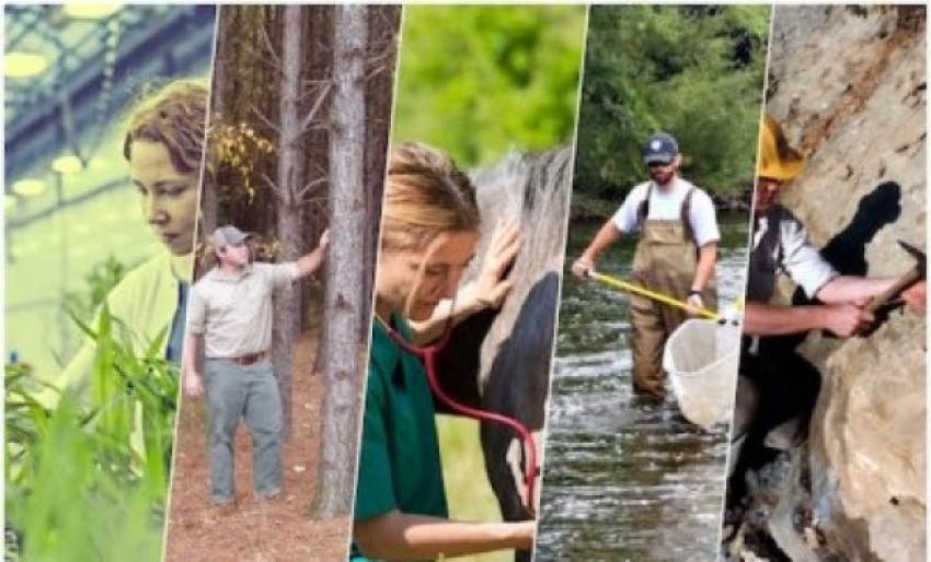 Π.Ε.Π.Τ.Ε.Γ. - Δελτίο τύπου για τον αποκλεισμό των Πτυχιούχων Γεωτεχνικών Τ.Ε. από το Μητρώο Επιβλεπόντων Εξωτερικών Συνεργατών της ΜΟΔ Α.Ε.