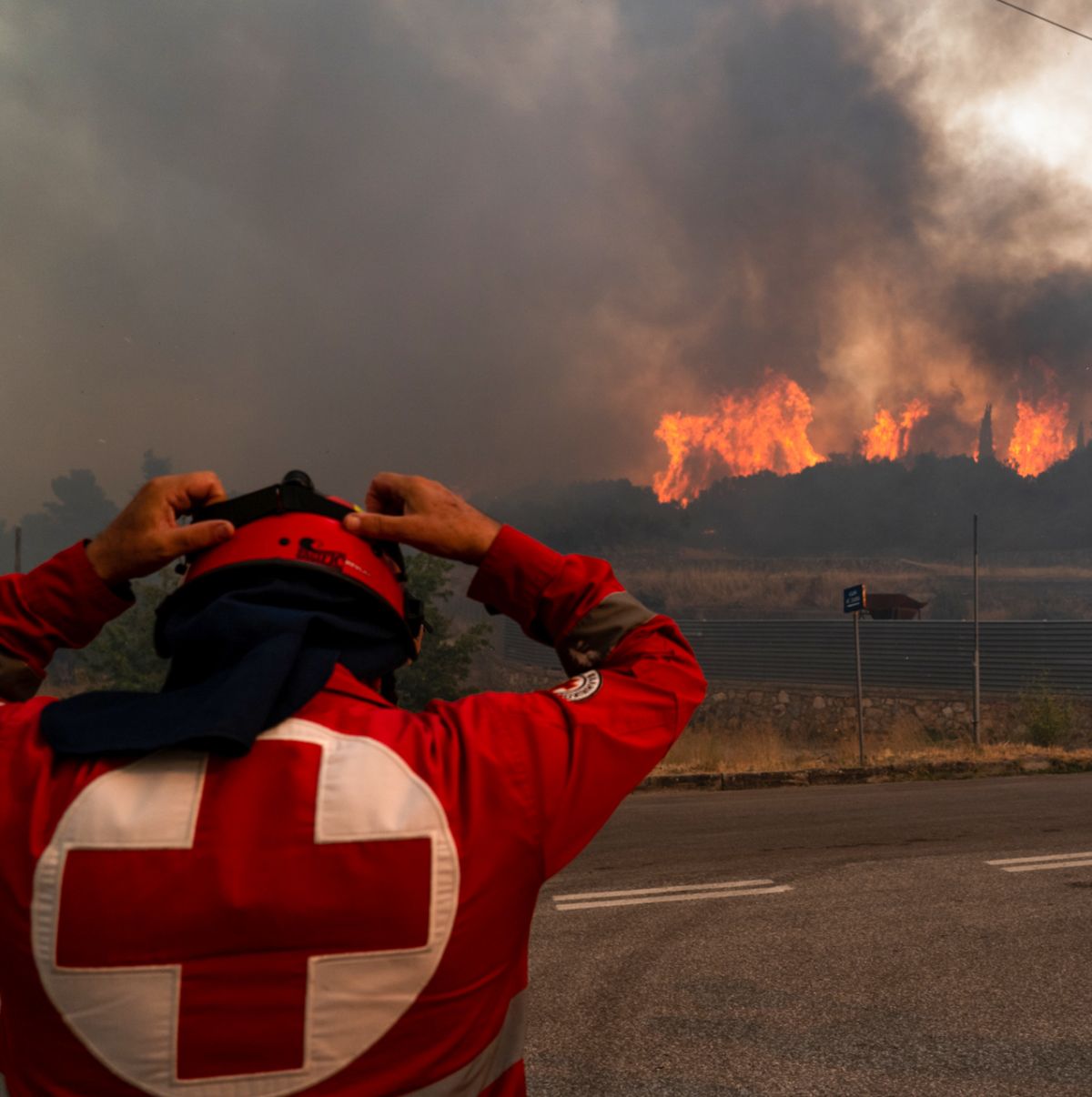 Ανακοίνωση για το Πρόγραμμα Οικονομικής Ενίσχυσης Πυρόπληκτων που υλοποιεί ο Ελληνικός Ερυθρός Σταυρός