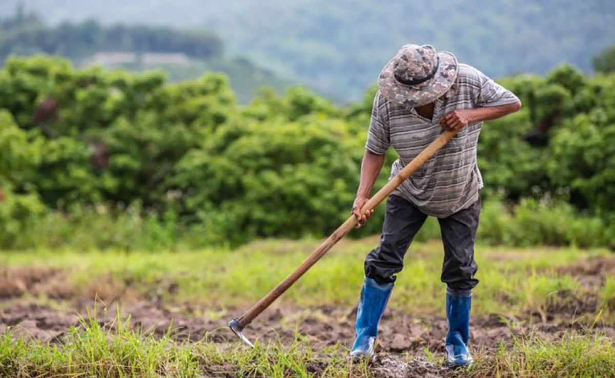 ΑΡΧΑΙΡΕΣΙΕΣ ΑΓΡΟΤΟΚΤΗΝΟΤΡΟΦΙΚΟΥ ΣΥΛΛΟΓΟΥ ΔΗΜΟΥ ΣΠΑΡΤΗΣ