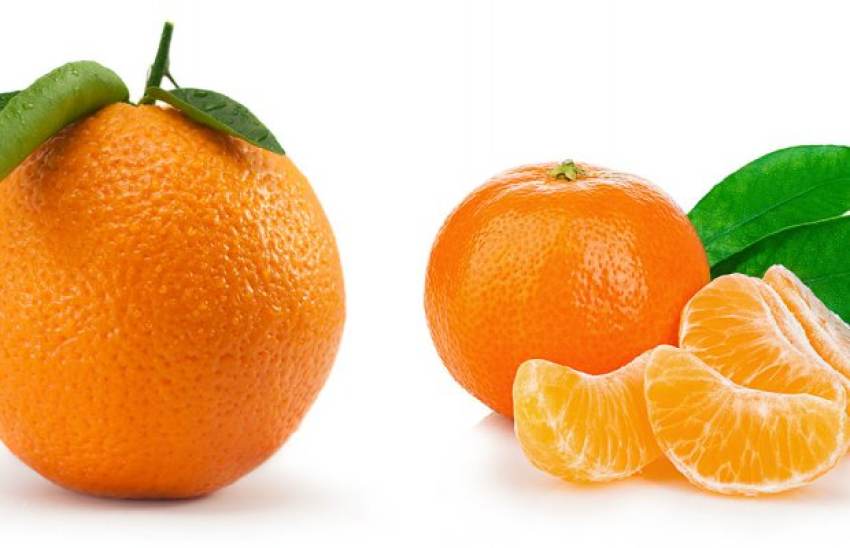 Μανταρίνια, πορτοκάλια: Προβλέψεις για μείωση της παραγωγής σε ΕΕ και τον υπόλοιπο κόσμο