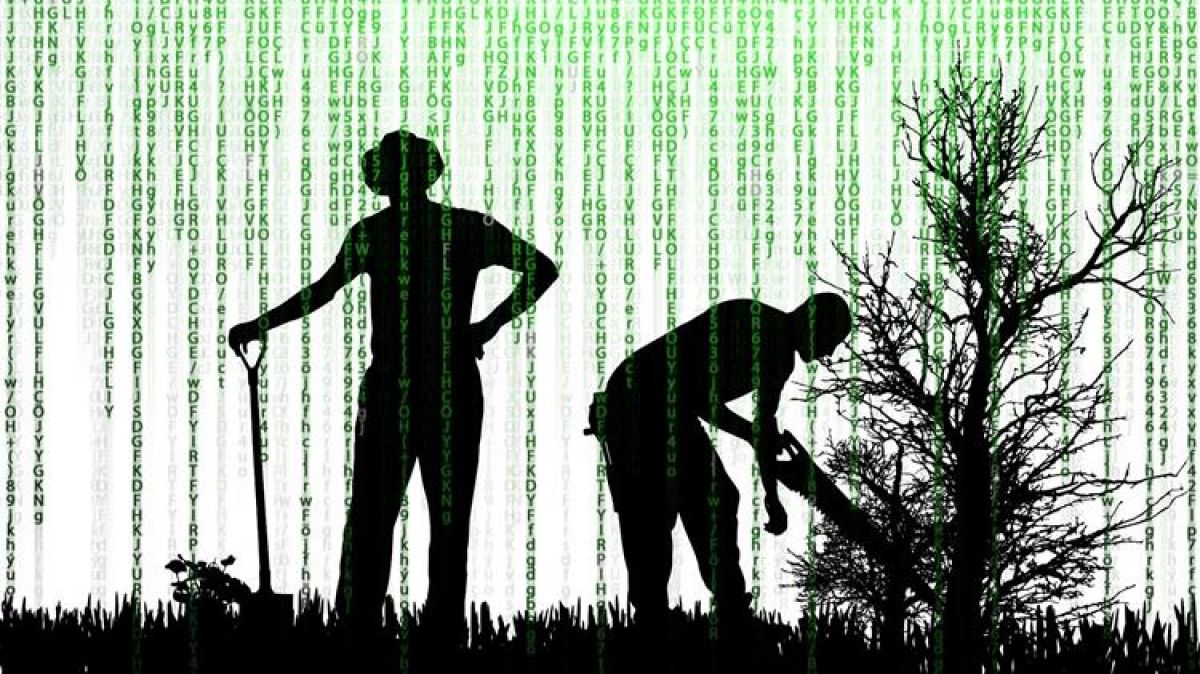 Ποιος κωδικός του ΟΠΕΚΕΠΕ αφήνει απλήρωτους τους παραγωγούς