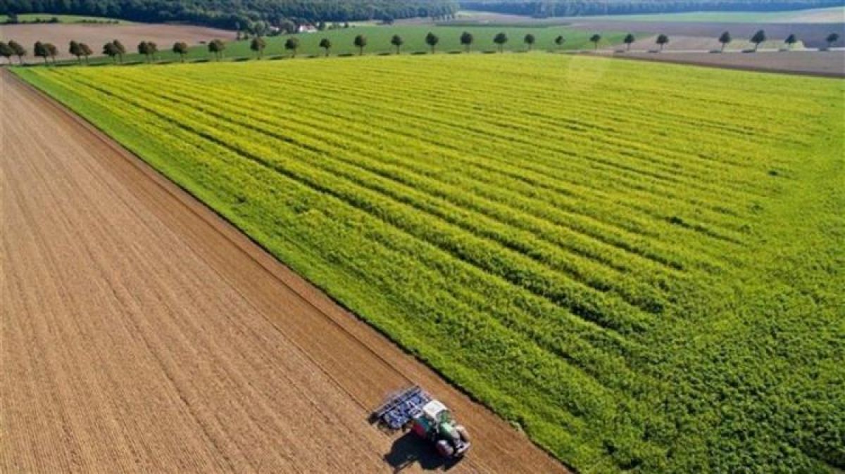 ΟΠΕΚΕΠΕ: Παράταση για το Μέτρο 11''Βιολογικές καλλιέργειες''