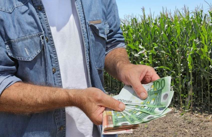 Έρχεται πακέτο στήριξης σε θερμοκήπια, οπωροκηπευτικά και κτηνοτροφία