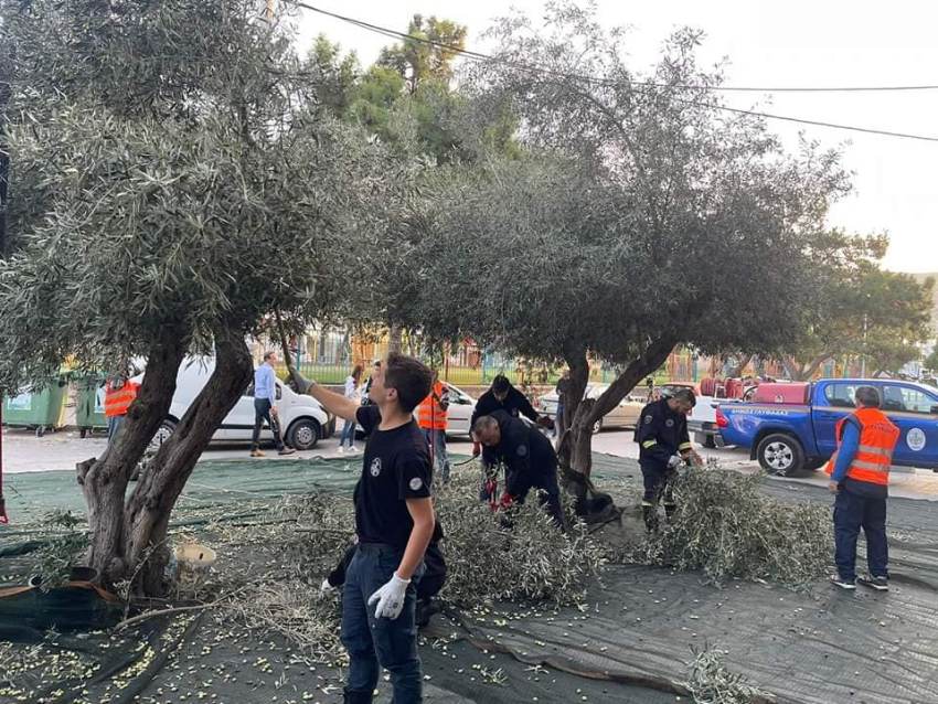 Δήμος δίνει δωρεάν ελαιόλαδο
