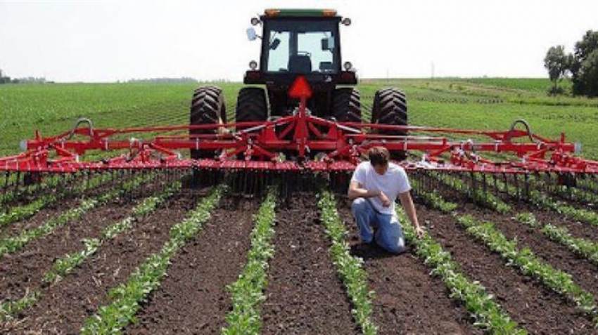 Εργάτες στον πρωτογενή τομέα - άμεση πολιτική απόφαση
