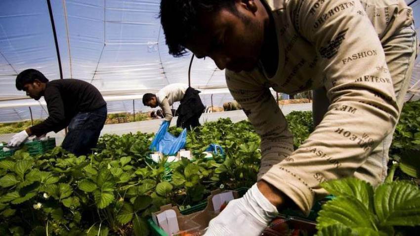 Γεωργαντάς για τους εργάτες γης: Βλέπουμε τον κίνδυνο των ελλείψεων αλλά το θεσμικό πλαίσιο είναι το ελκυστικότερο που υπήρχε ποτέ