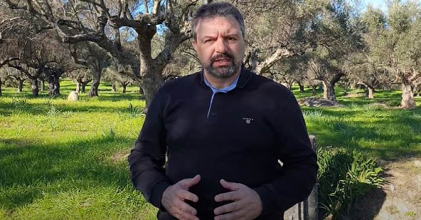 Στ. Αραχωβίτης: “Γλοισπόριο της ελιάς: Άμεση και Δίκαιη Εκτίμηση και Κάλυψη της ζημιάς”
