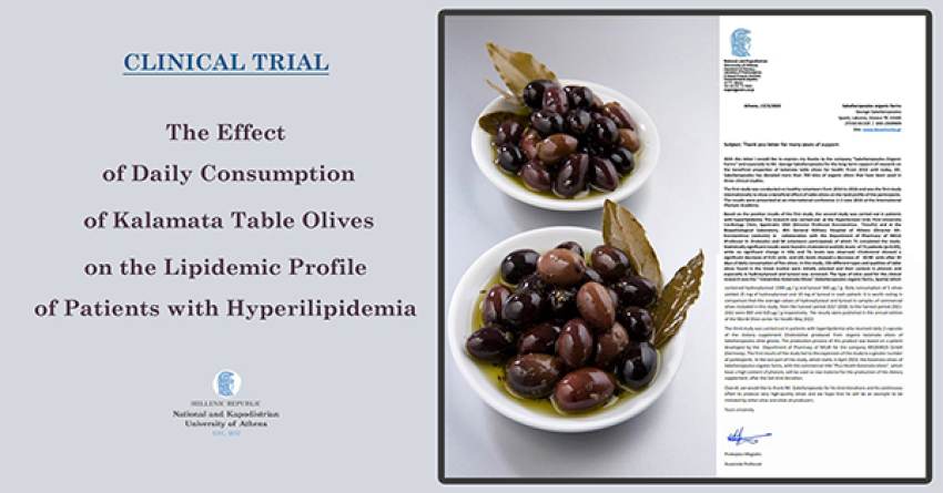 Οι βιολογικές ελιές των ελαιώνων Σακελλαρόπουλου σε συμπλήρωμα διατροφής για τη χοληστερόλη και τη βελτίωση της υγείας