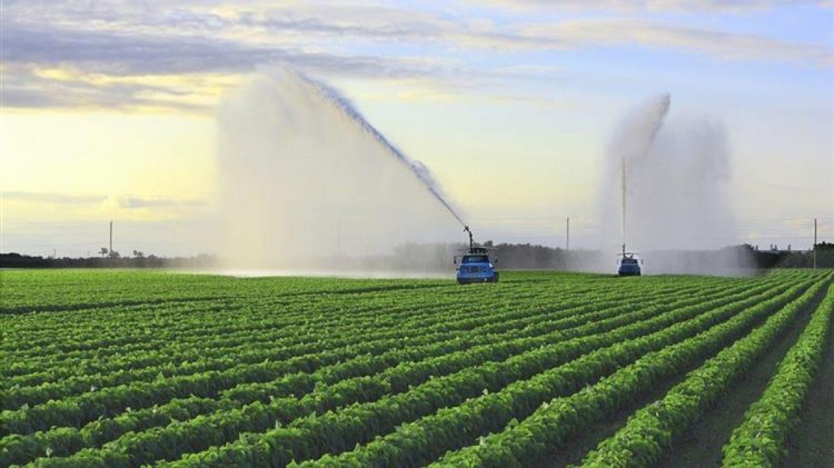 Παράταση προθεσμίας υποβολής δικαιολογητικών για το αγροτικό τιμολόγιο