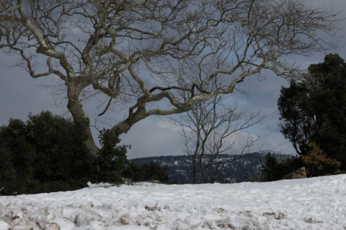 Ο «Λέανδρος» σαρώνει τη χώρα: Χιόνια και στα ορεινά της Αττικής την Παρασκευή