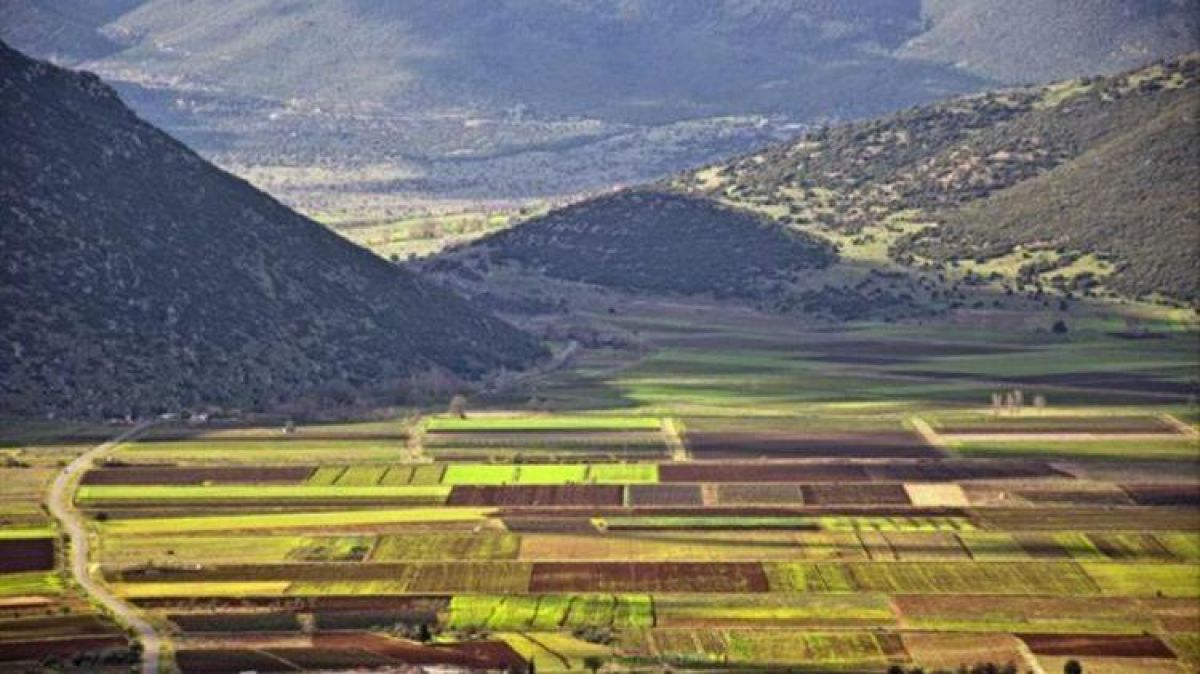 Υπό έλεγχο όσοι δήλωσαν στον ΟΠΕΚΕΠΕ δημόσιες εκτάσεις ως ιδιωτικές