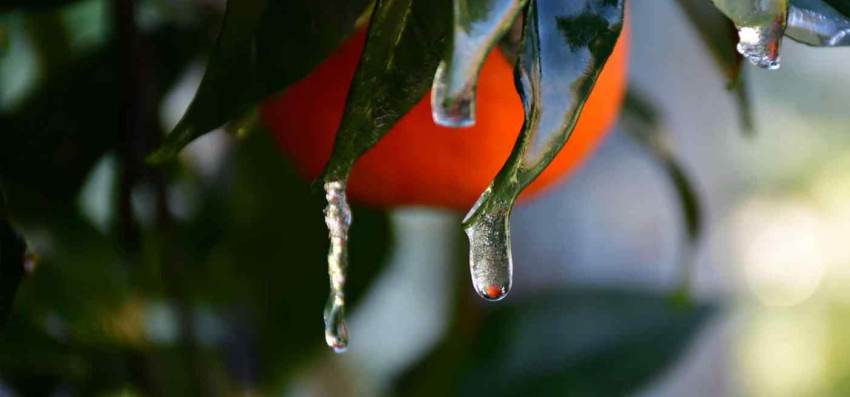 ΑΝΑΚΟΙΝΩΣΗ ΓΙΑ ΠΟΡΙΣΜΑΤΑ ΕΚΤΙΜΗΣΗΣ ΖΗΜΙΩΝ ΑΠΟ ΤΟΝ ΠΑΓΕΤΟ ΤΗΣ 27-01-2022 ΣΤΟΝ ΛΕΗΜΟΝΑ