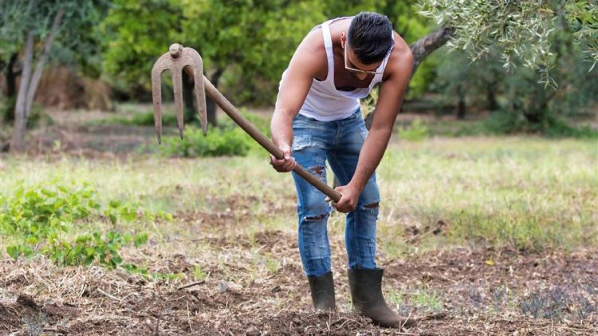 Προκήρυξη προγράμματος νέων αγροτών