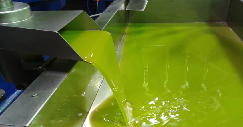 Με αέρα ανόδου σπάει το φράγμα των 6 ευρώ το ελαιόλαδο, έπιασε τα 5,70 ευρώ το Iσπανικό