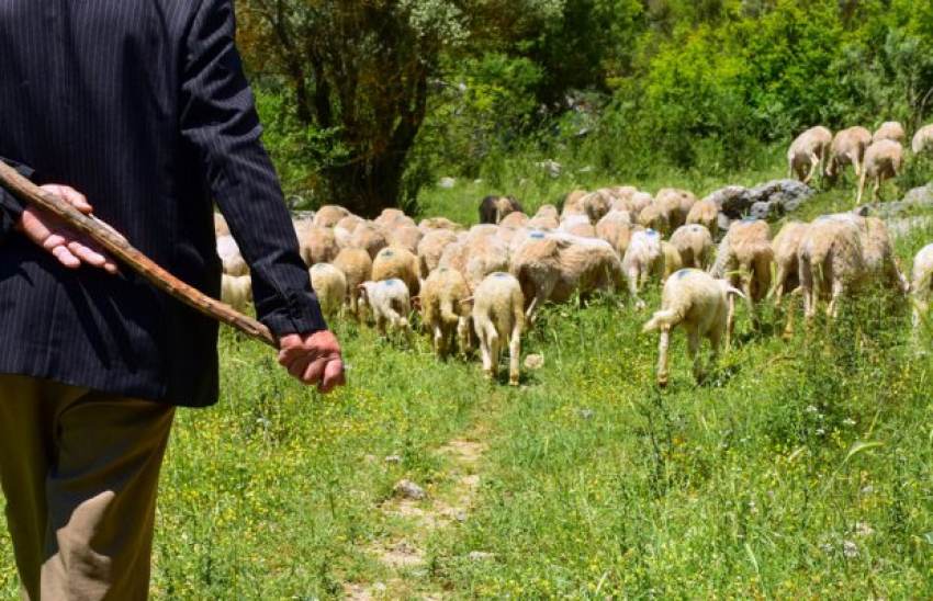 Απαλλάσσονται από εκτιμητικά τέλη πυρόπληκτοι κτηνοτρόφοι - μελισσοκόμοι