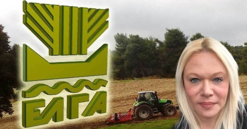 Ευχαριστίες της Γενικής Γραμματέως του Δήμου Σπάρτης προς υπαλλήλους του Δήμου