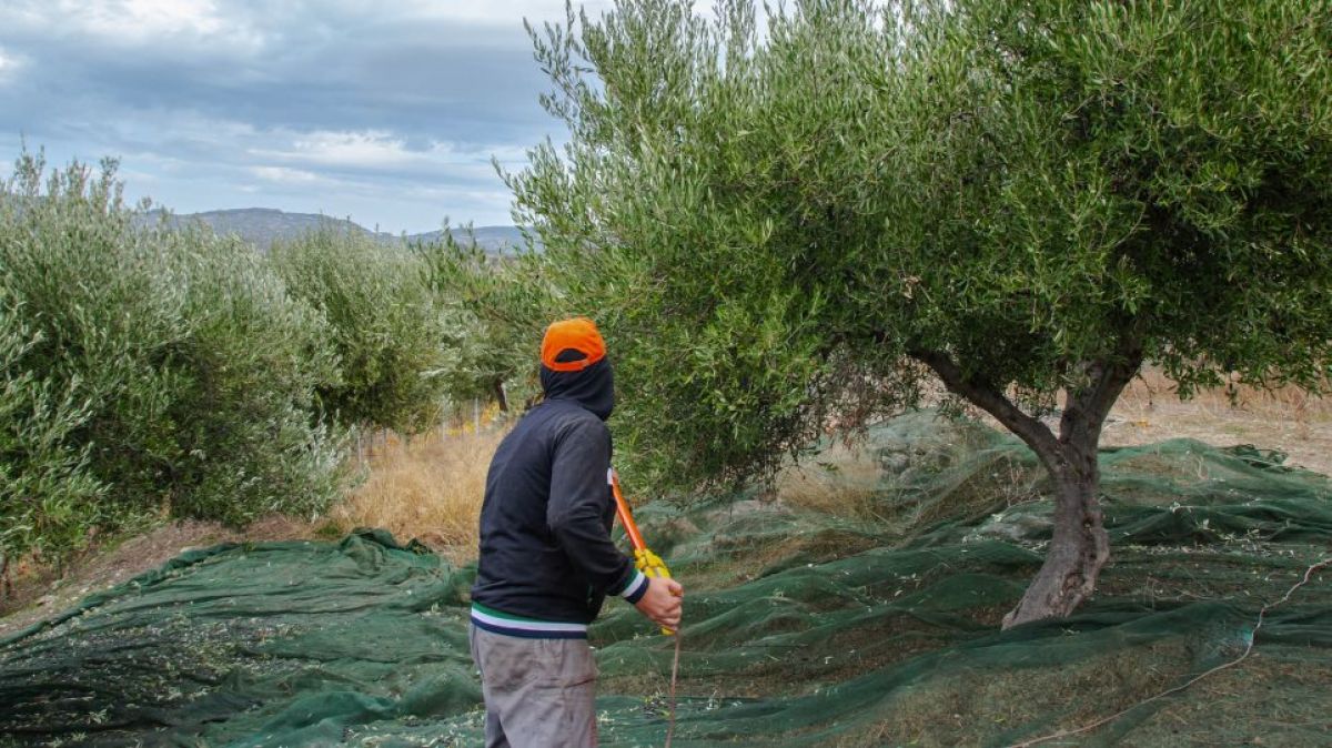 Νέα μέτρα στήριξης των αγροτών: Δάνεια 500 εκατ ευρώ με ελκυστικούς όρους