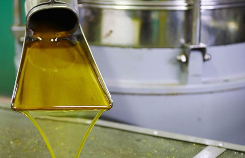 Συλλήψεις στην Αχαΐα για κλοπή ελαιολάδου αξίας 10.840 ευρώ, τι έγινε στον Πολύγυρο