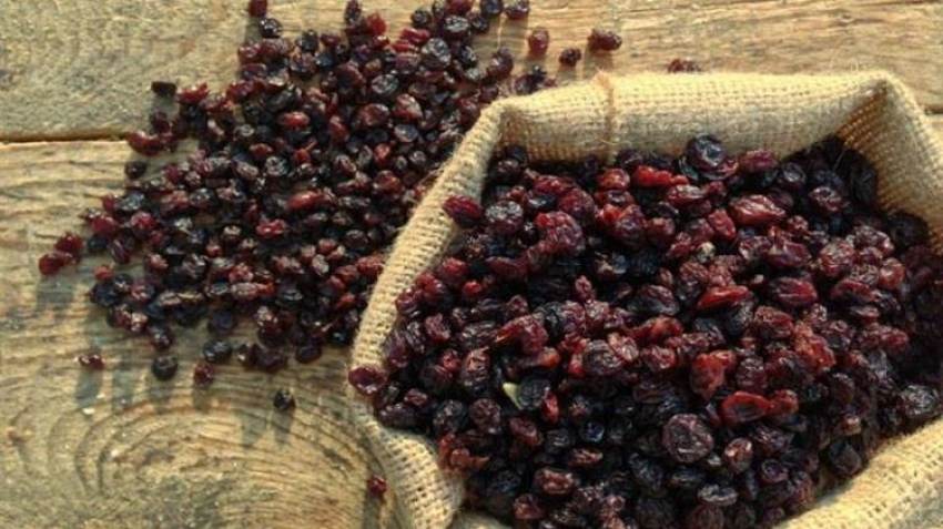 Σταφιδοπαραγωγοί σε απόγνωση στην Ηλεία: Δεν βγαίνει ούτε το μεροκάματο