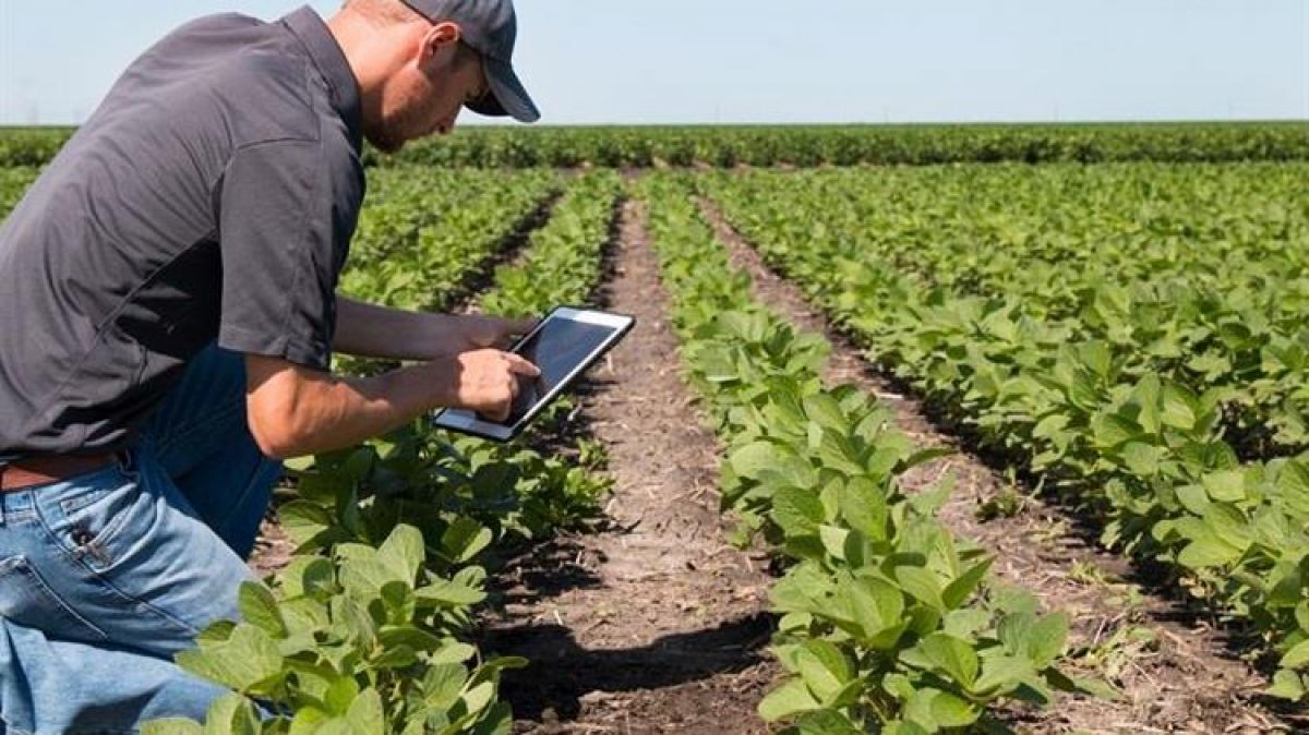 Γεωργικοί σύμβουλοι: Ολοκληρώνεται η ενεργοποίηση του Συστήματος σε Αγροτικές Εκμεταλλεύσεις