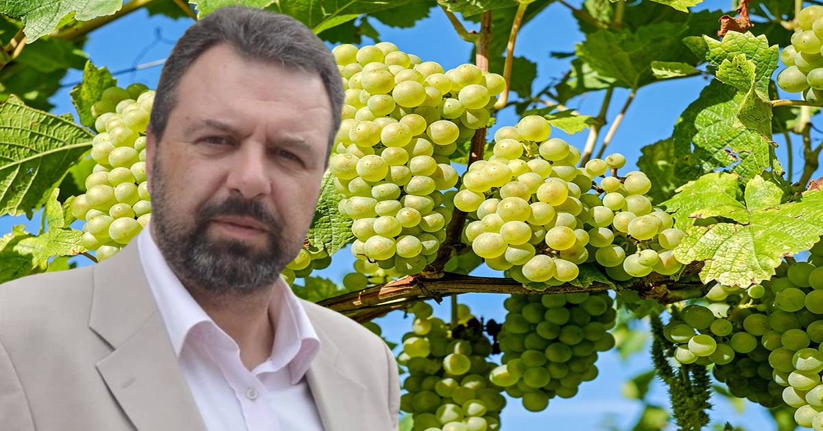 Στ. Αραχωβίτης-Ολ. Τελιγιορίδου: «Ευρωπαϊκά κονδύλια για τη γενναία στήριξη του Αμπελοοινικού Τομέα, τουλάχιστον το 2021»