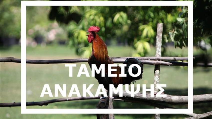 Ταμείο Ανάκαμψης: Η Ελλάδα διεκδικεί πρόσθετους δανειακούς πόρους 5 δισ. ευρώ