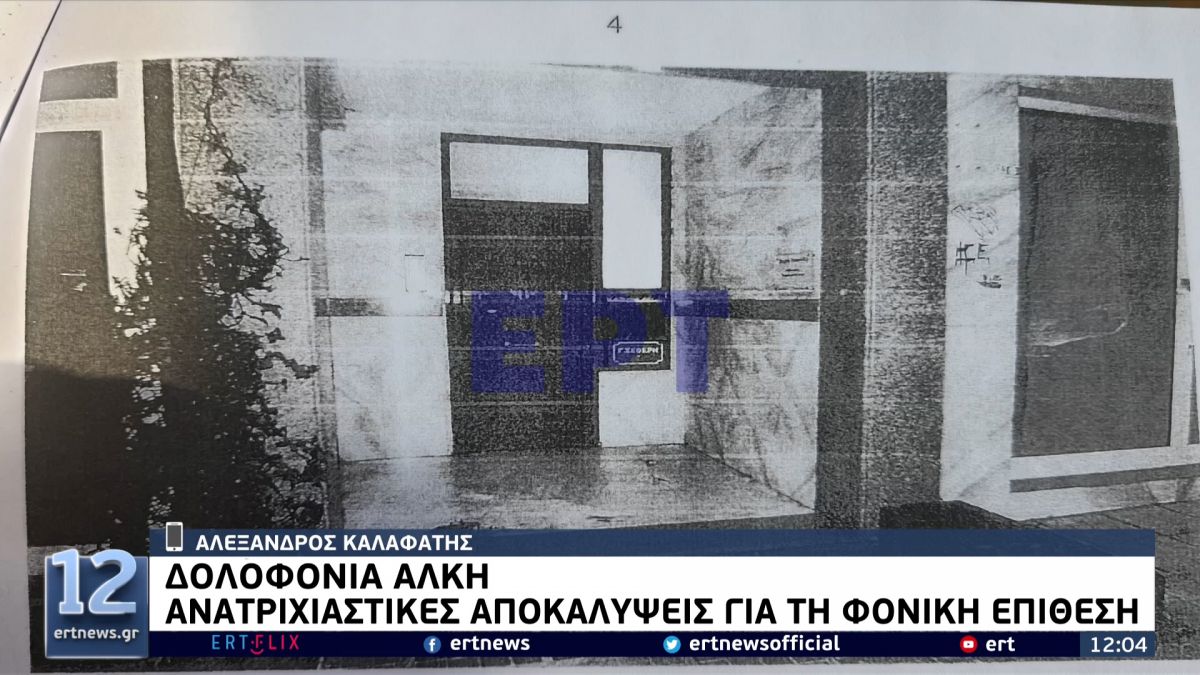 Δολοφονία Άλκη: Σοκαριστικές οι αποκαλύψεις για τον τρόπο δράσης της ομάδας