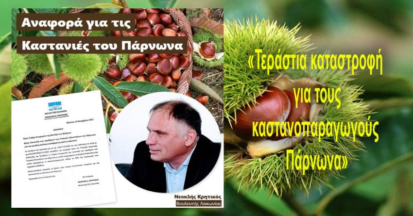 Νεοκλής Κρητικός: «Τεράστια καταστροφή για τους καστανοπαραγωγούς Πάρνωνα»