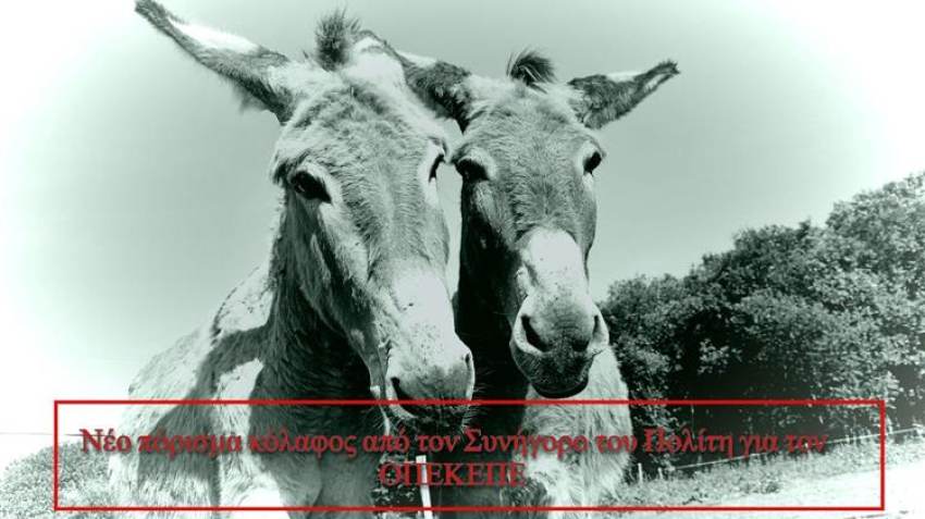 Συνήγορος του Πολίτη: Νέος διασυρμός για τον ΟΠΕΚΕΠΕ