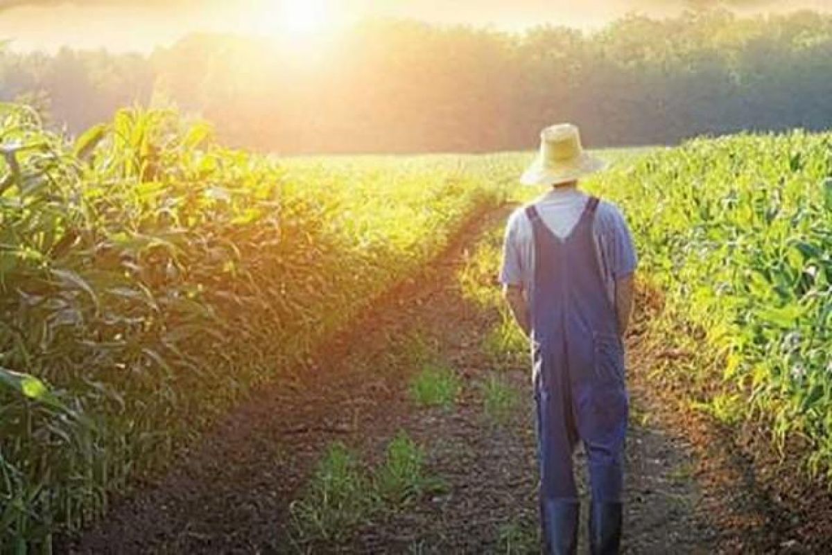 Θεσσαλονίκη: Να "επενδύσουν στη γνώση" ζήτησαν από τους αγρότες οι υφυπουργοί Σ. Κεδίκογλου και Γ. Στύλιος