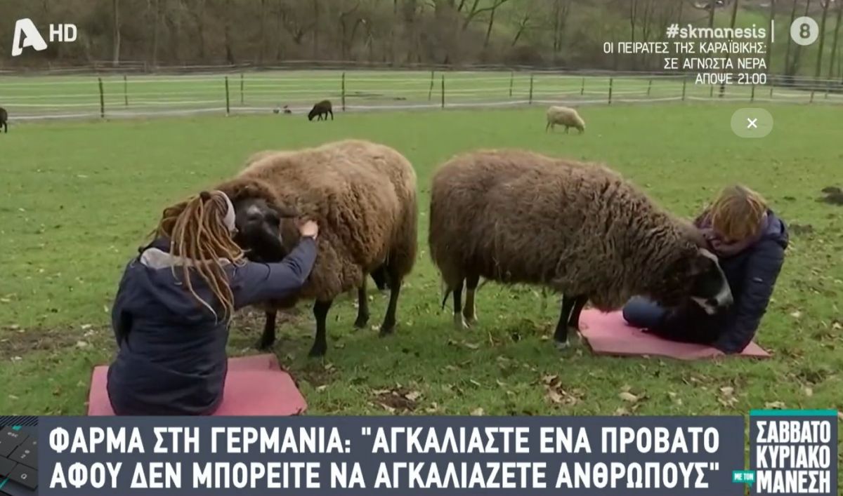 Η φύση στο … τεχνητό αστικό περιβάλλον