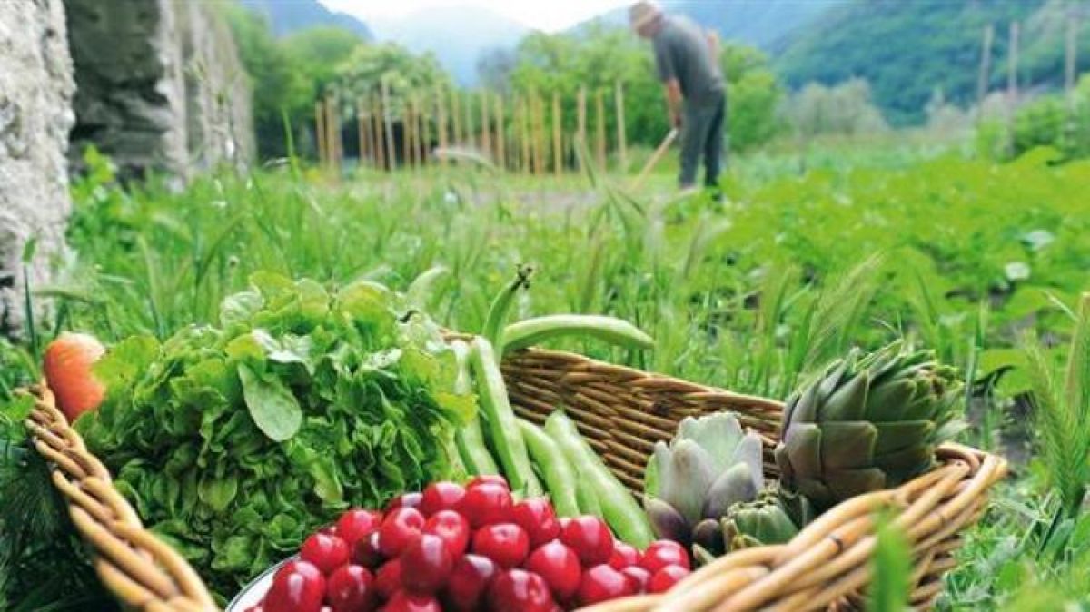 Για ΦΕΚ τα 24 εκατ. € των κορωνοενισχύσεων για κηπευτικά