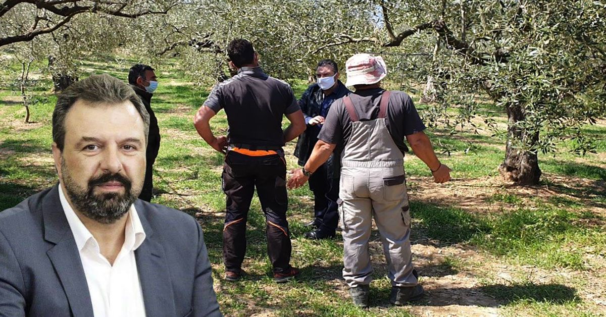 Στ. Αραχωβίτης «Η αδιαφορία της κυβέρνησης αφήνει χωρίς εργατικά χέρια την παραγωγή»