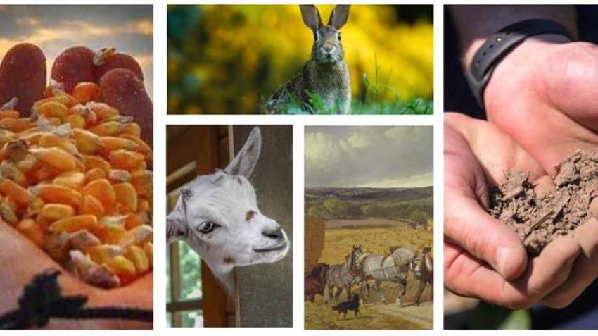 ΟΠΕΚΕΠΕ: «Αγκάθι» για την κυβέρνηση, «αχίλλειος πτέρνα» για το ΥΠΑΑΤ