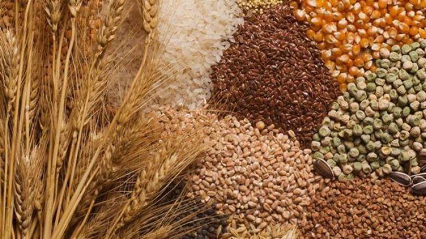 ICC: Ρεκόρ στην παγκόσμια παραγωγή δημητριακών το 2023/24