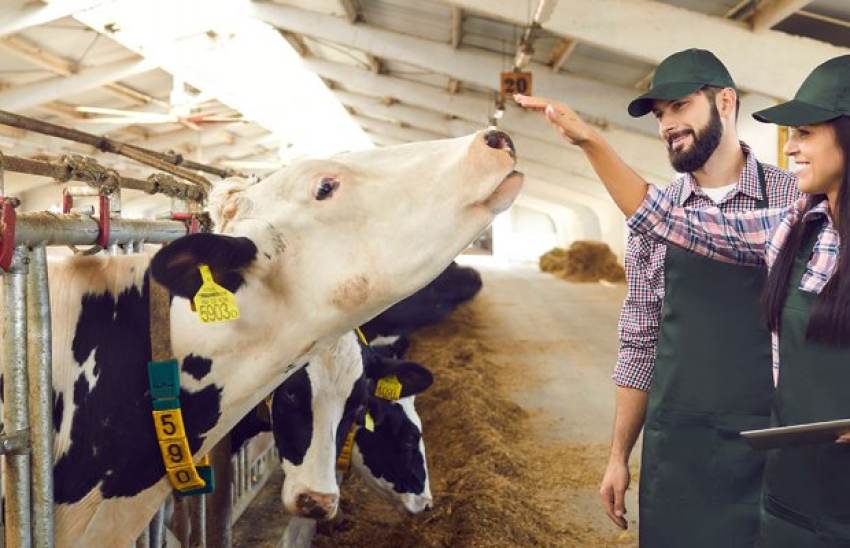 Δυτική Ελλάδα: Βγήκαν τα οριστικά αποτελέσματα για τους Νέους Αγρότες