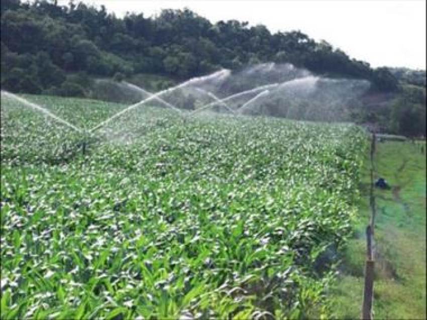 Υποχρεωτική εγγραφή στο μητρώο αγροτών και ΕΦΚΑ όλων όσων καλλιεργούν για πώληση