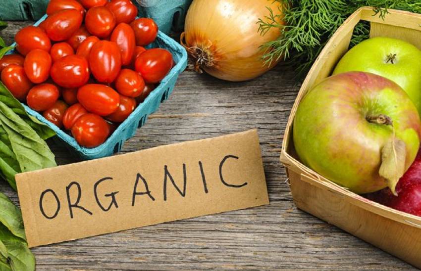 Τι έγινε στα βιολογικά και αντί να πληρωθούν εξόφληση πήραν ποινές, ποιοι έχουν ευθύνη