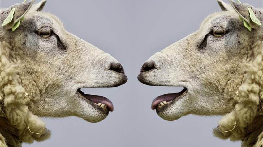 Σε αναδίπλωση το ΥΠΑΑΤ για τα 89 εκατ. ευρώ των ζωοτροφών